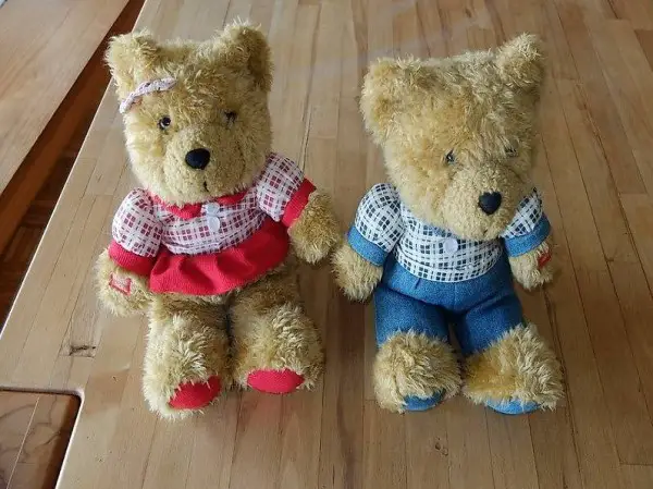 2 nounours teddy peluche qui parlent