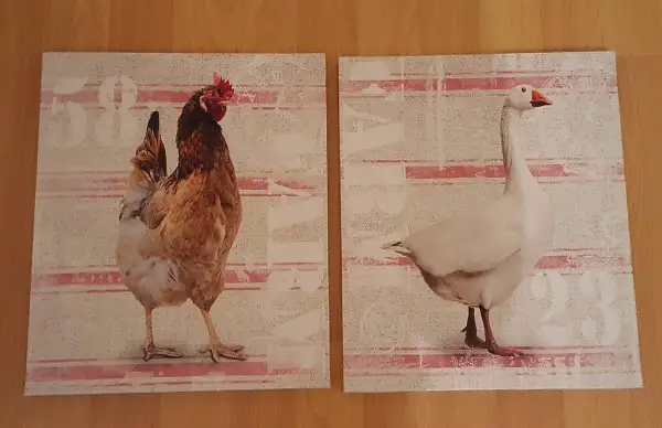 2 Stück Farm Keilrahmen Bild - Huhn und Gans - 28 x 28 cm