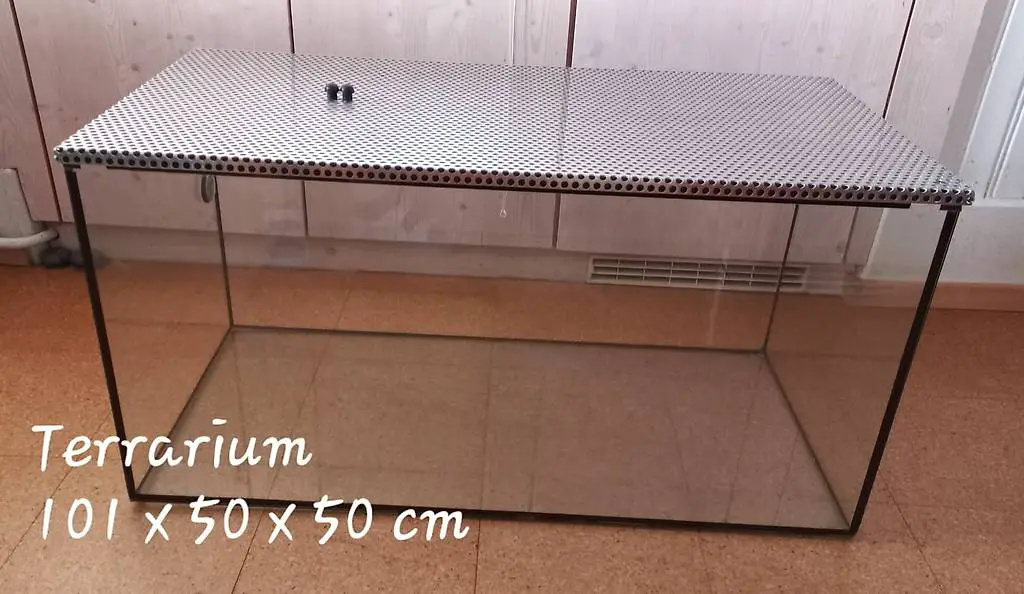 Terrarium zu verschenken