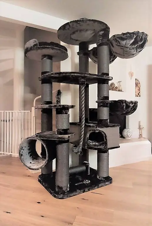 deluxe katzenbaum grosse katzen super robust brandneu aktion