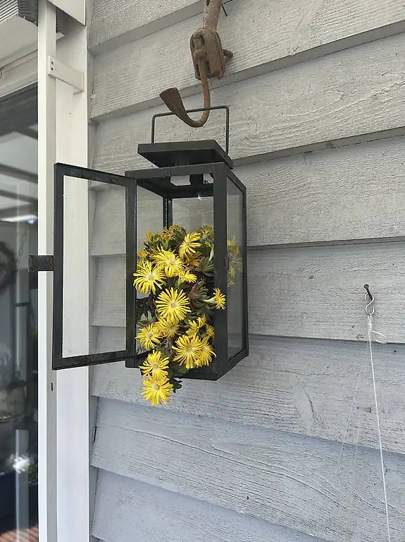 Blumen in der Laterne