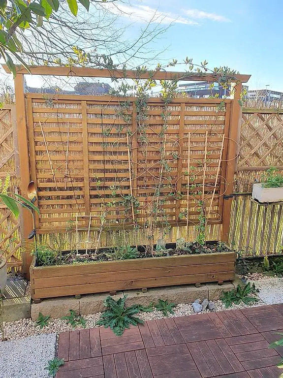 Schönes Rankgiter mit Pflanzenkübel