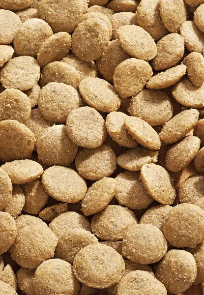 Hundefutter Vet Concept low Protein