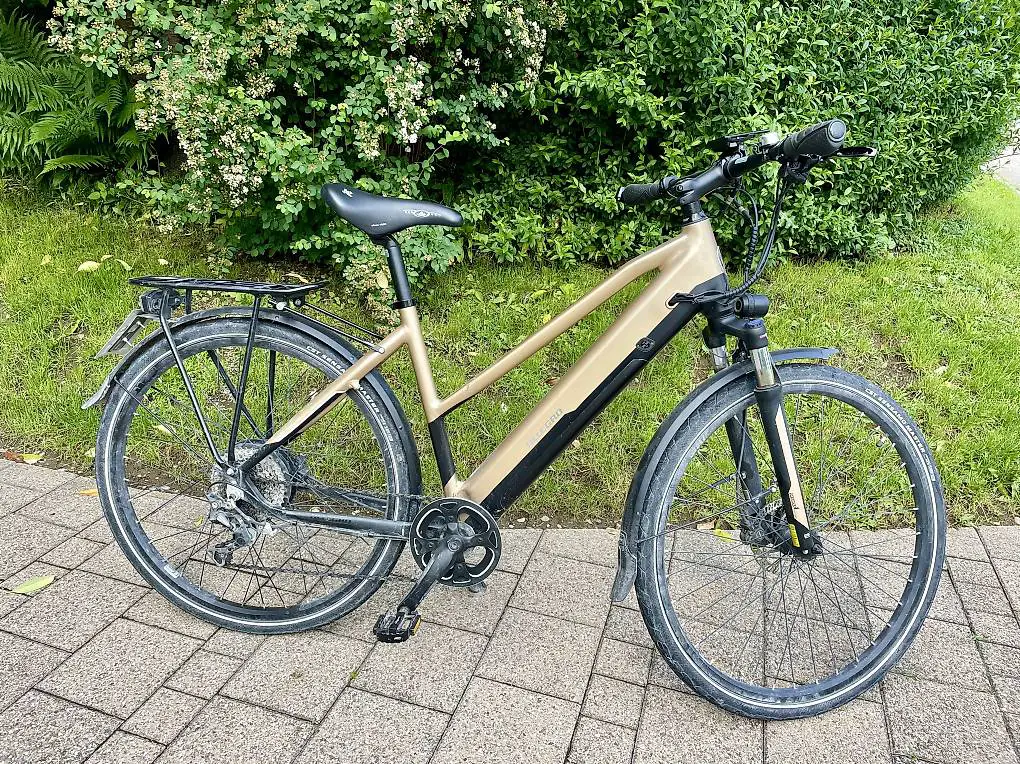 E-Bike Allegro Champion ii limited edition