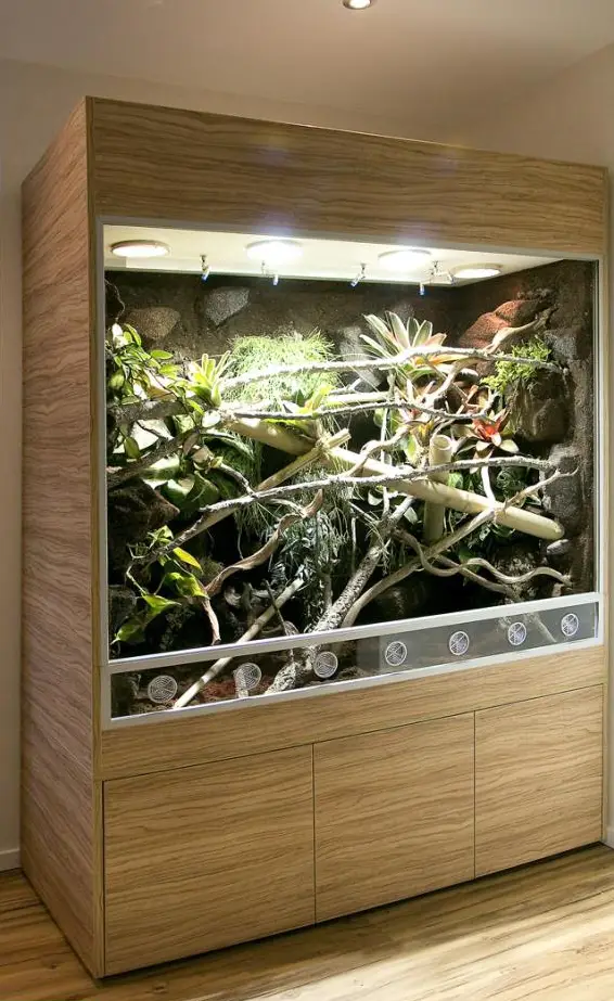 Regenwaldterrarium für Taggeckos, Phelsumen, Typ R03