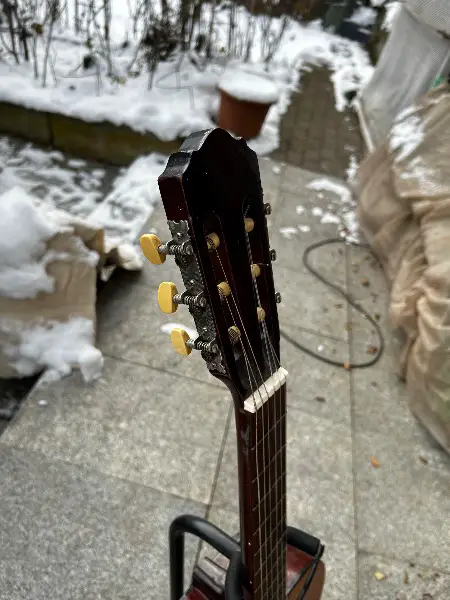 Ariana Vintage Gitarre 4601 – inkl. Ständer