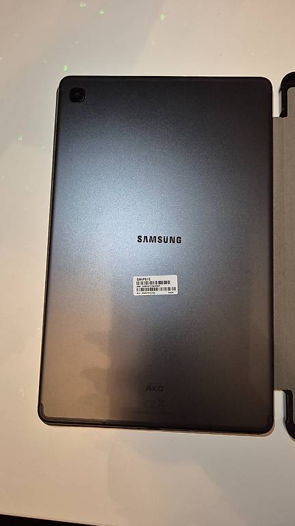 Galaxy Tab S6 Lite mit Pen