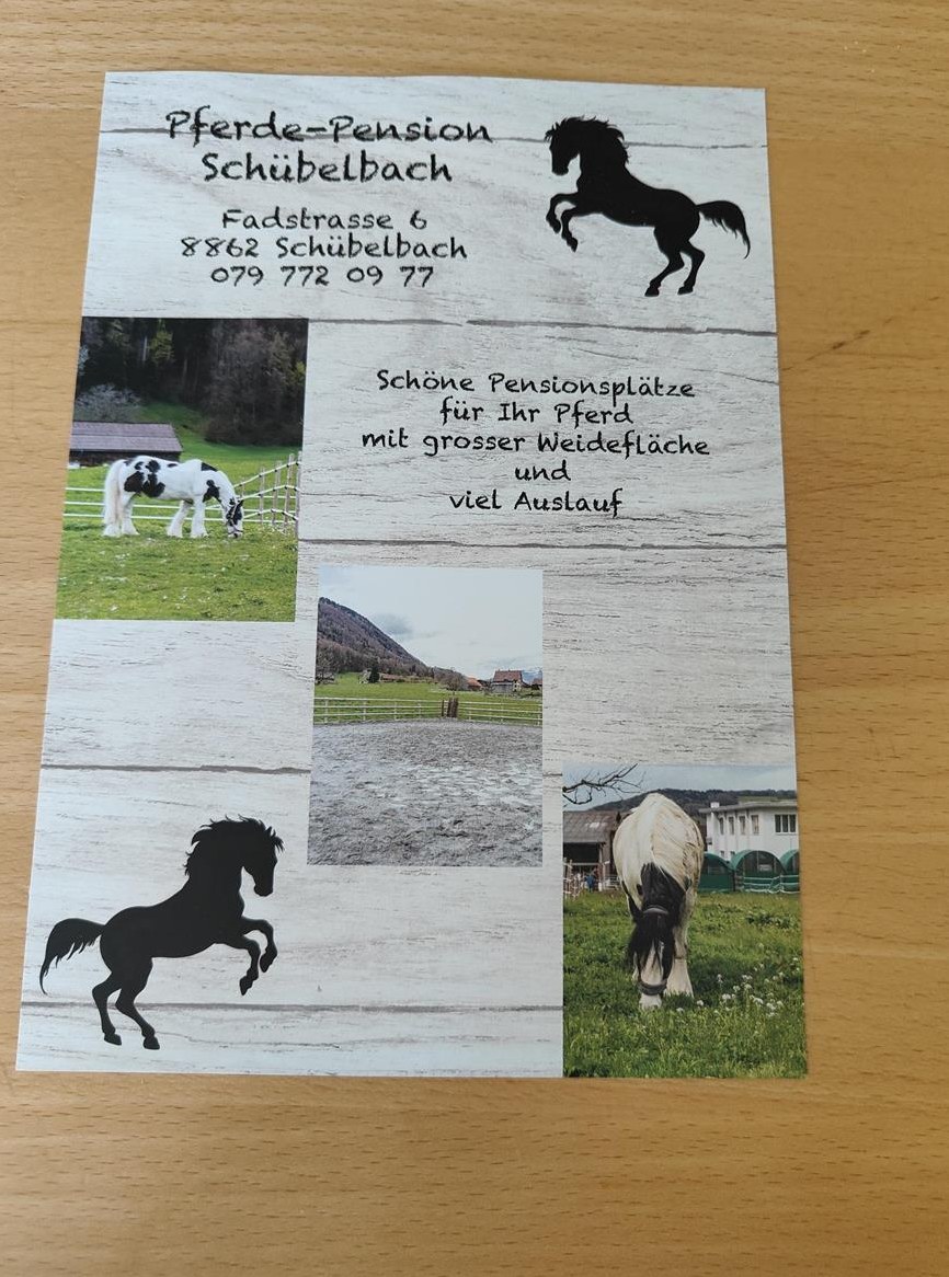Pferdeboxen zu vermieten in Schübelbach SZ
