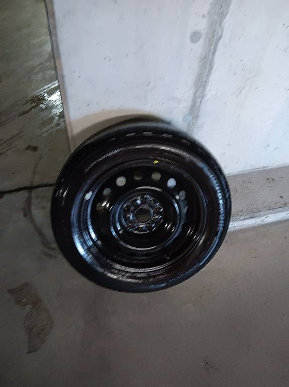 Flegen Fuer Totora verso 2011