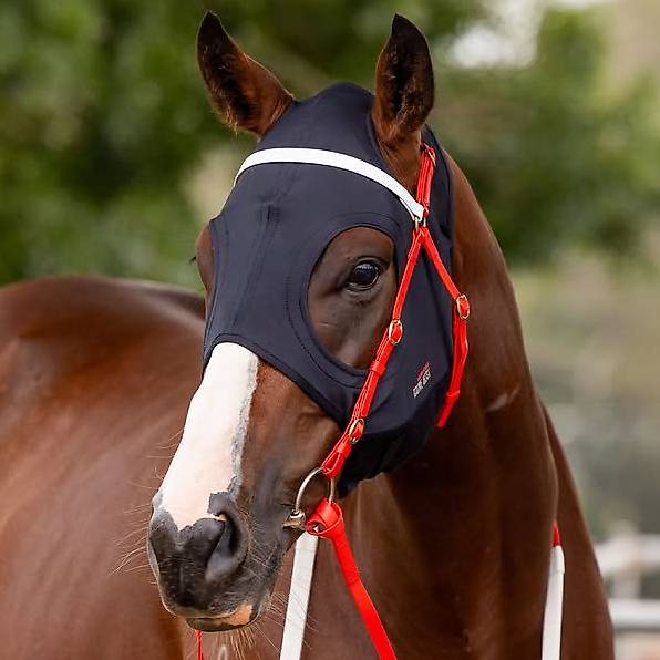 Zilco Come Best Titanium Maske für Pferde in 3 Grössen