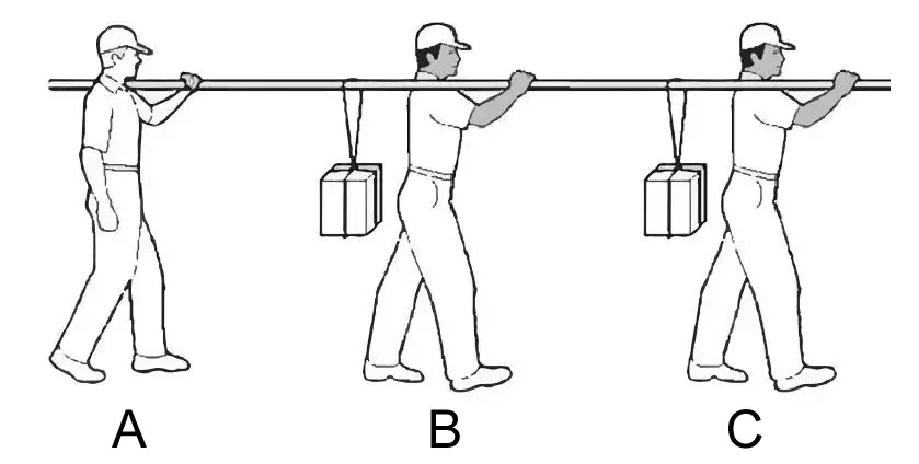 Rätsel: Wer trägt das meiste Gewicht?