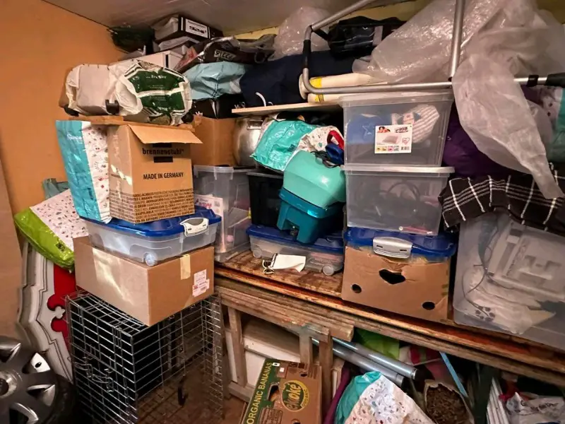 01.02.2026 Flohmarkt Bern in und vor der Grossen Halle